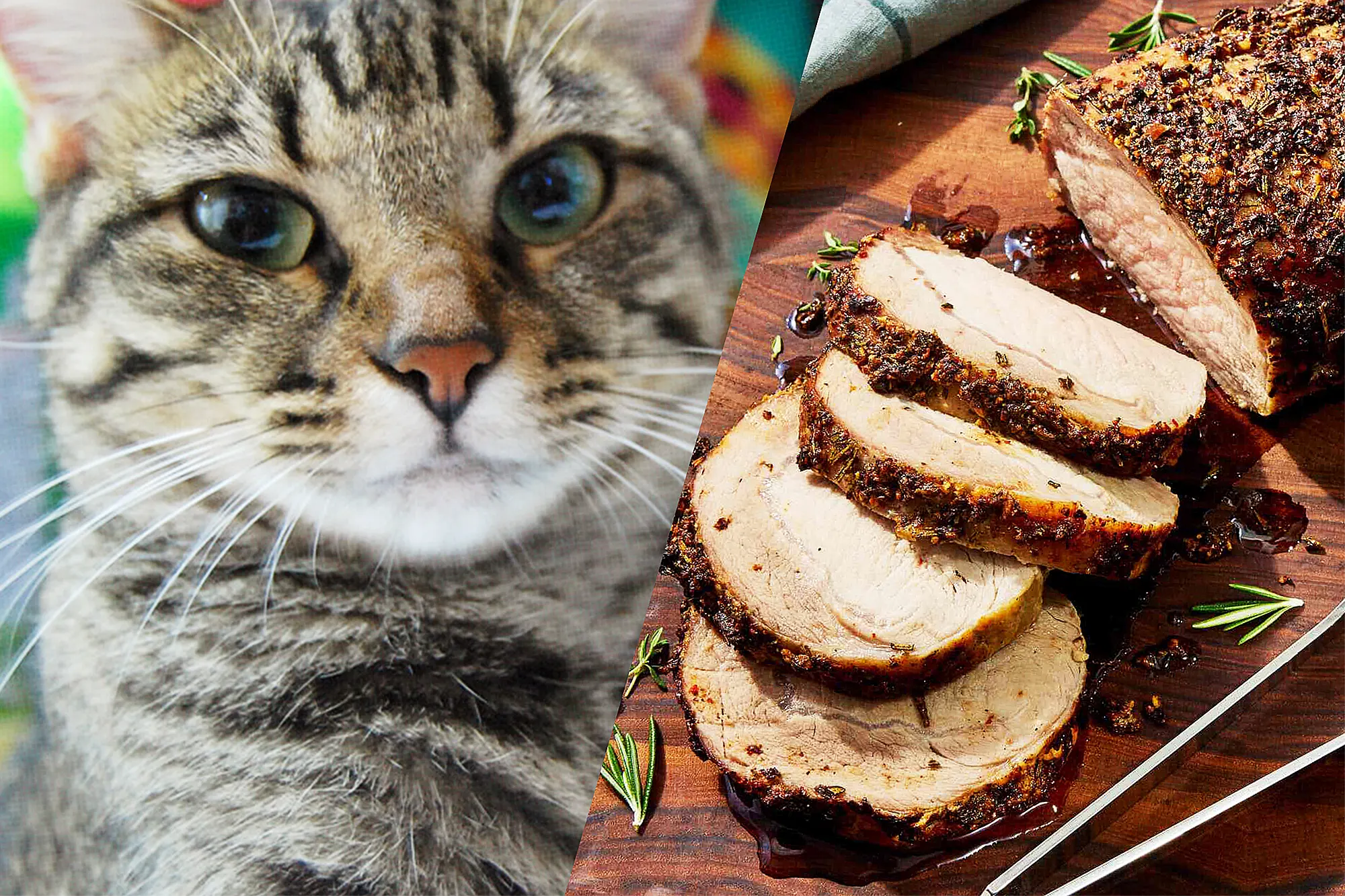 Can Cats Eat Pork?