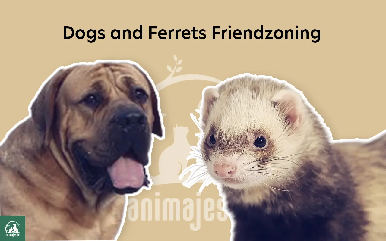 A Dog and A Ferret