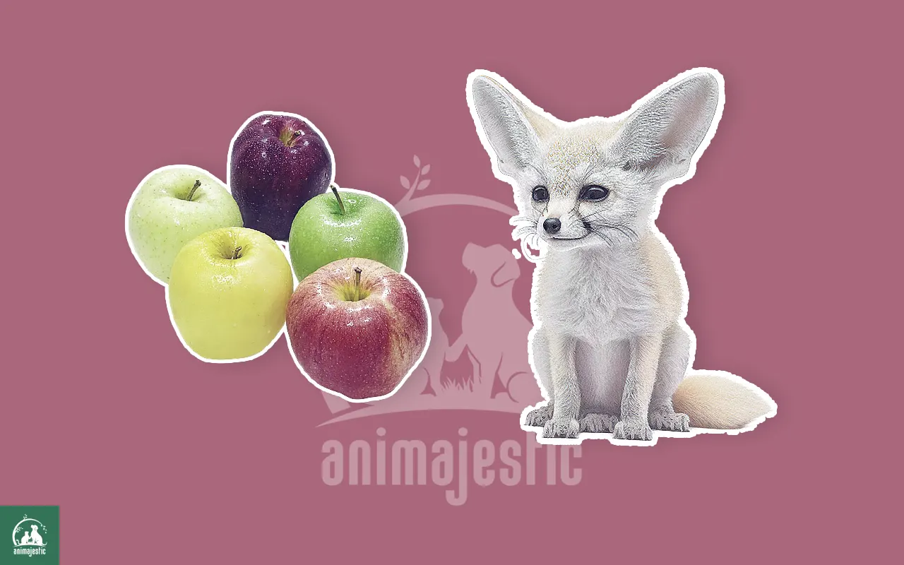 Can Fennec Foxes Eat Apples