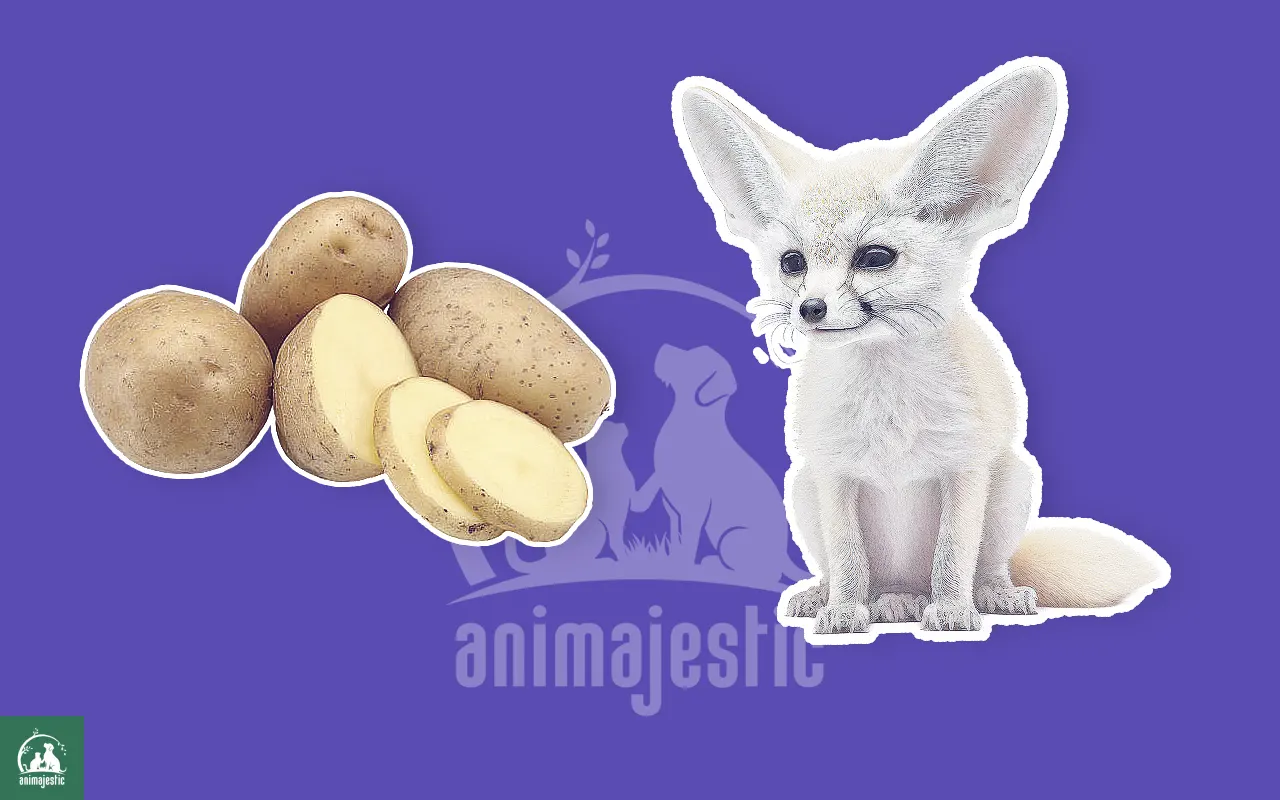 Can Fennec Foxes Eat Potatoes