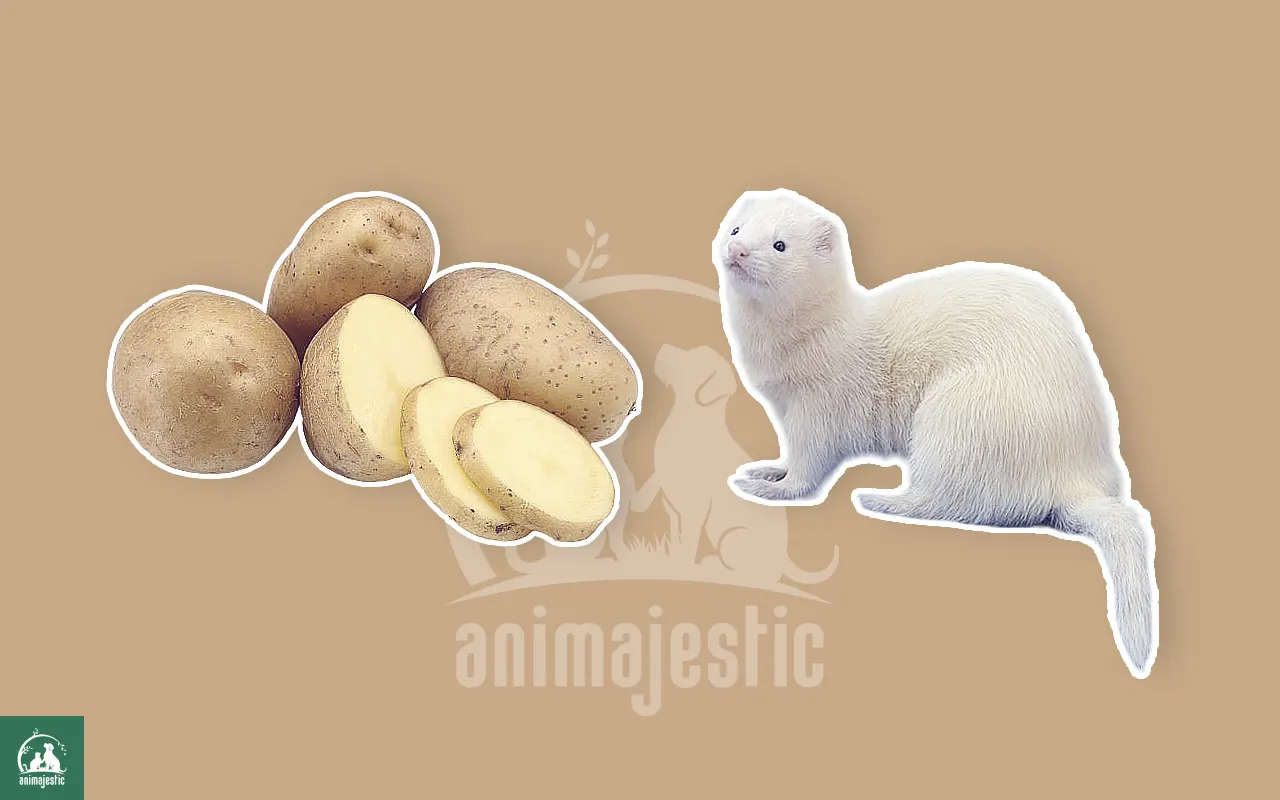 Can Ferrets Eat Potatoes?