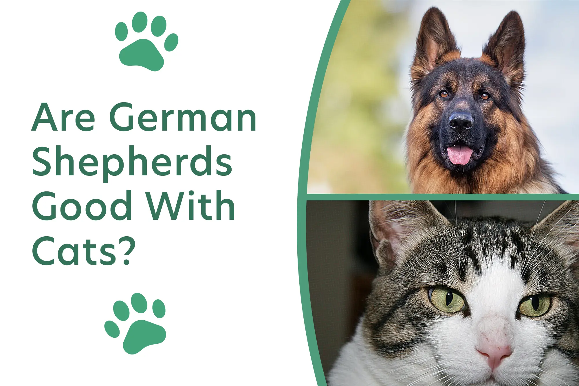 Are German Shepherds Good With Cats?
