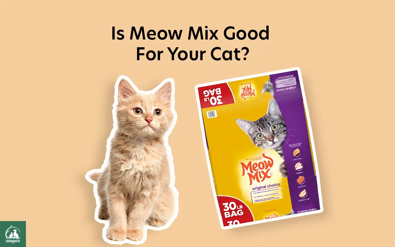 Is Meow Mix Good?