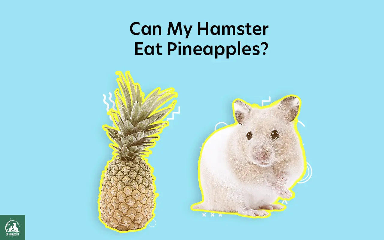 Can My Hamster Eat Pineapples?
