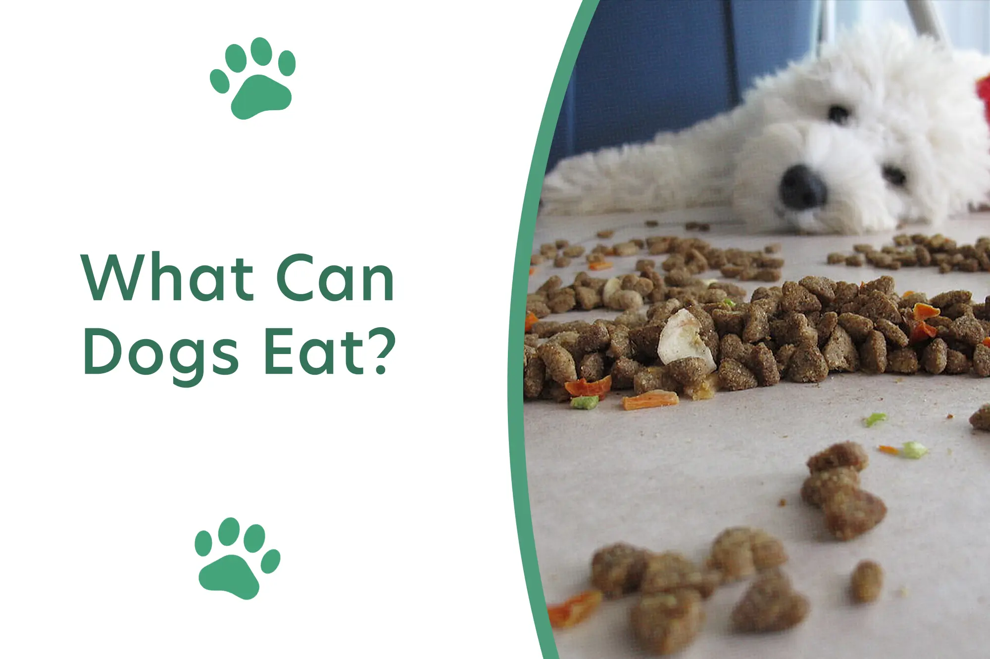 What Can Your Dog Eat? [A Comprehensive Guide]